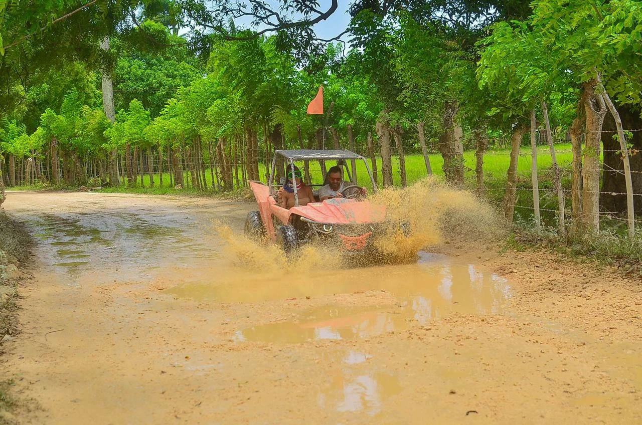 Buggies Kayos – Dobles y Familiares - 4