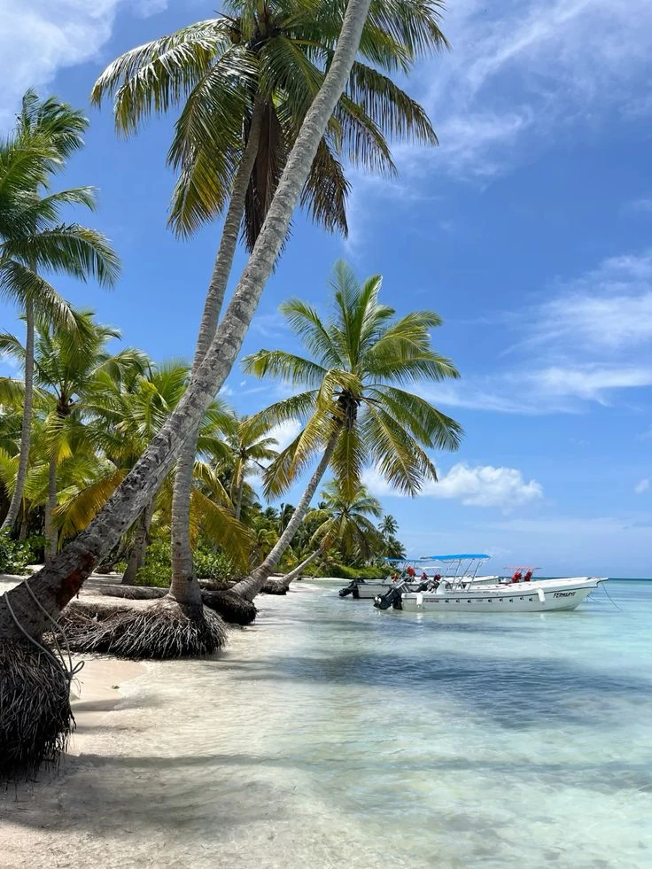 Isla Saona VIP Cuatro Playas - 8