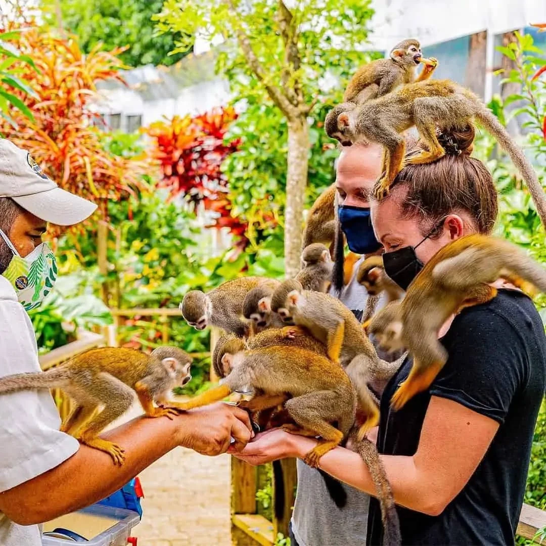 Monkeyland Punta Cana - 10
